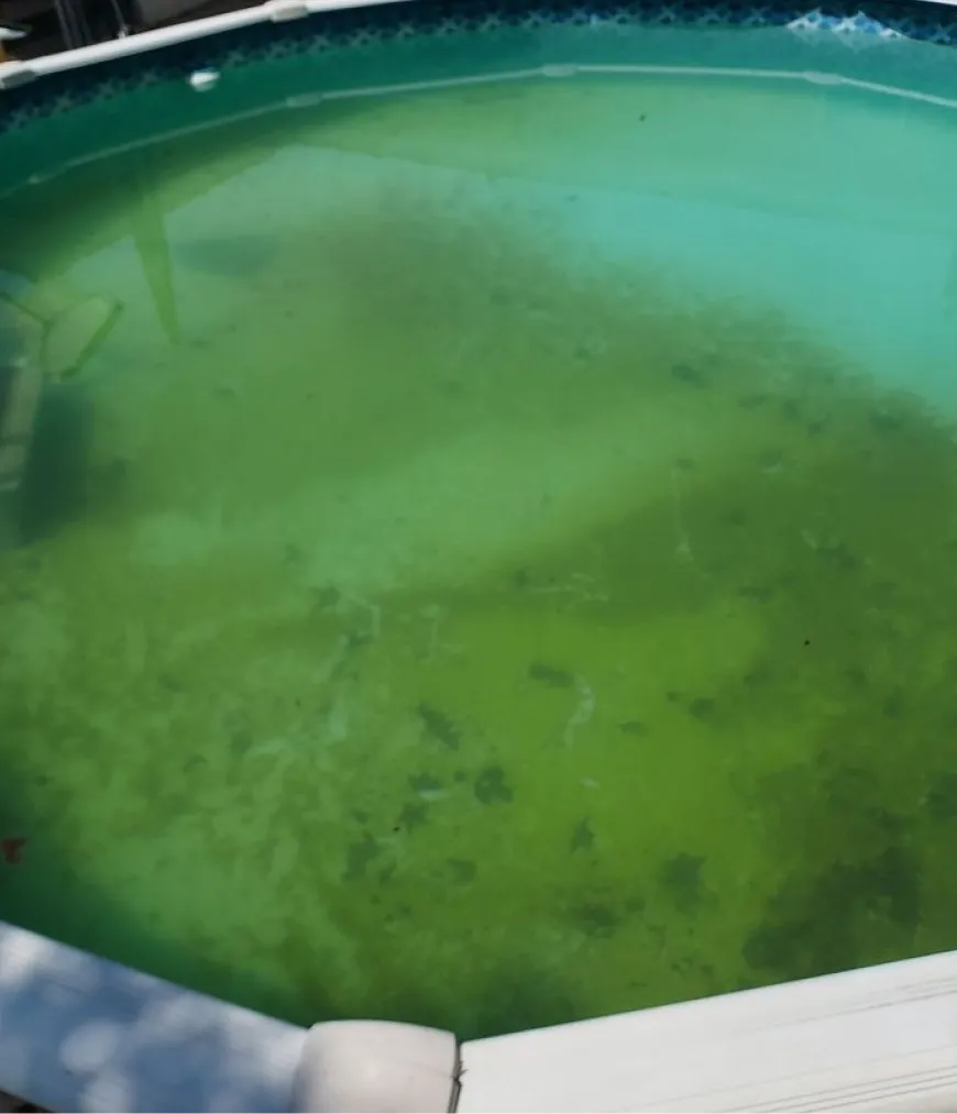 Algae Treatment